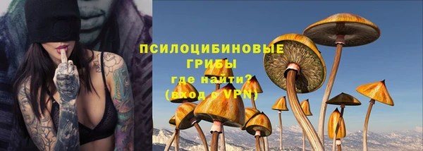 соль ск Лагань