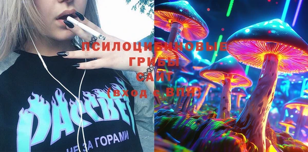 индика Лихославль