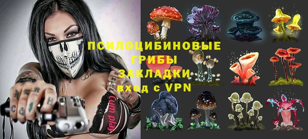 винт Ладушкин