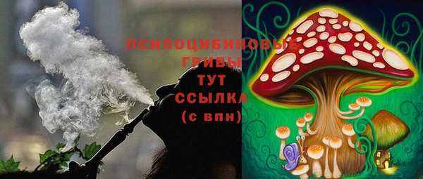винт Ладушкин
