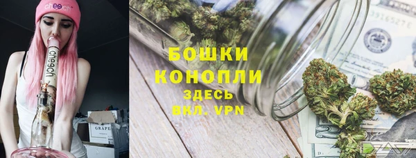 винт Ладушкин