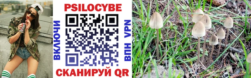 Купить где  Бахчисарай  Галлюциногенные грибы Psilocybe 
